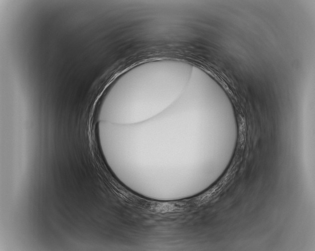 X0000116380290200912020951