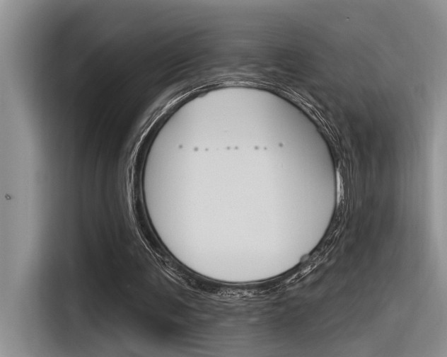 X0000116380291200912020951