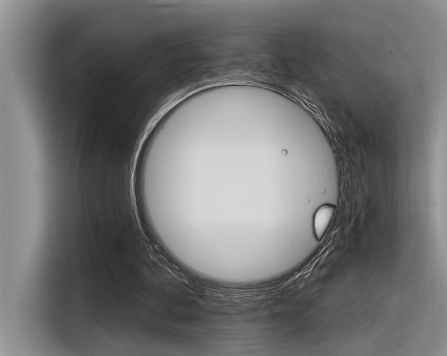 X0000116380292200912020951