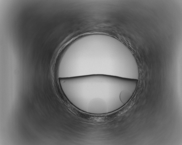 X0000116380295200912020951