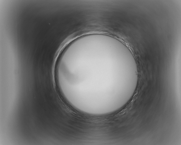 X0000116380296200912020951