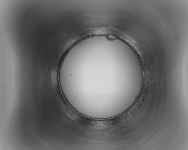 X0000116380297200912020951