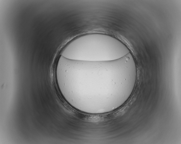X0000116380298200912020951