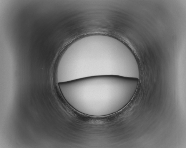 X0000116380299200912020951