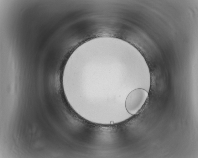 X0000116380302200912020951