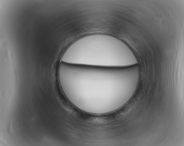 X0000116380303200912020951