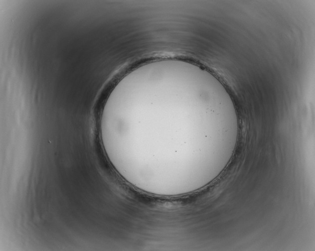 X0000116380304200912020951