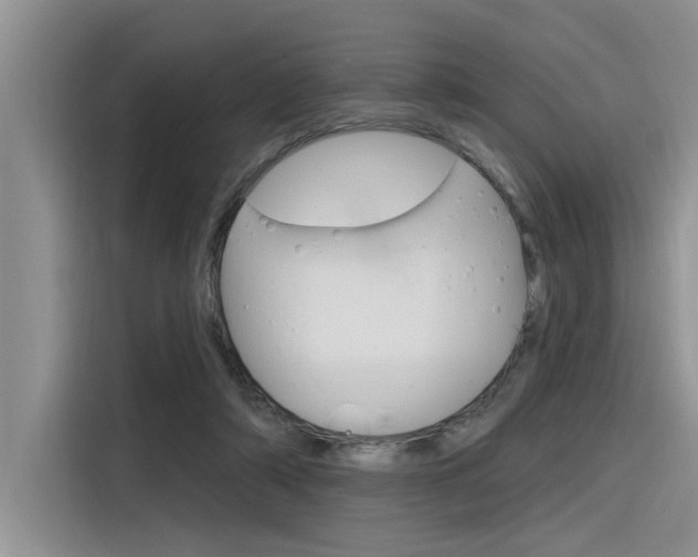 X0000116380306200912020951