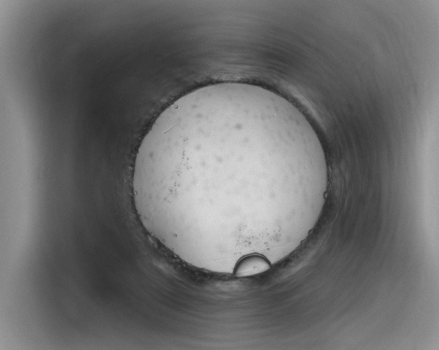 X0000116380307200912020951