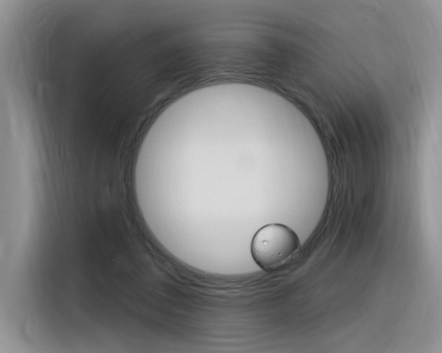 X0000116380308200912020951