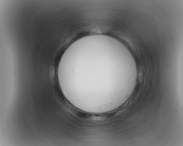 X0000116380314200912020951