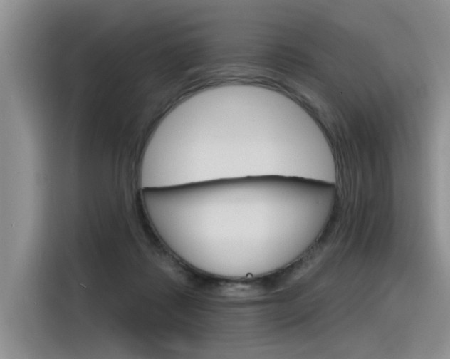 X0000116380315200912020951