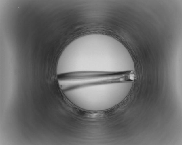 X0000116380323200912020951