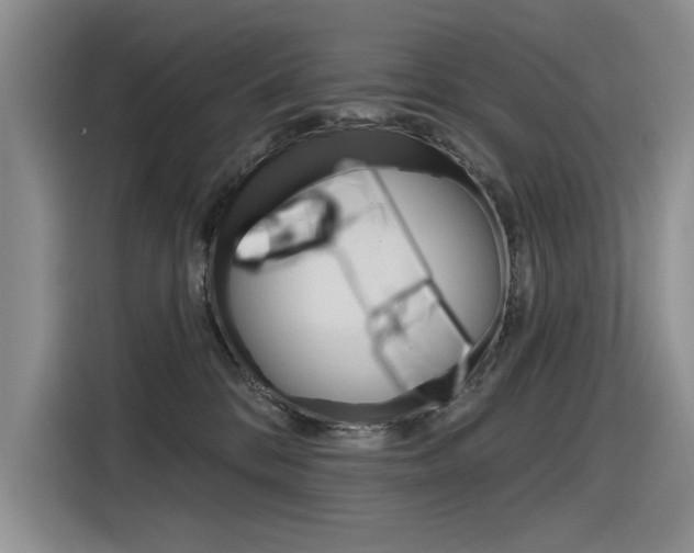 X0000116380328200912020951