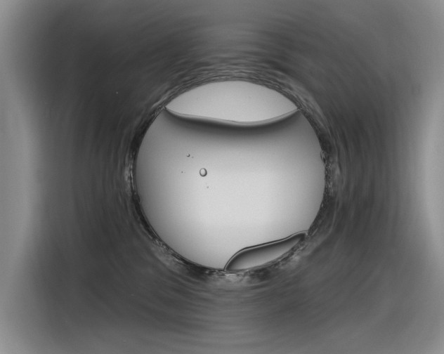 X0000116380329200912020951