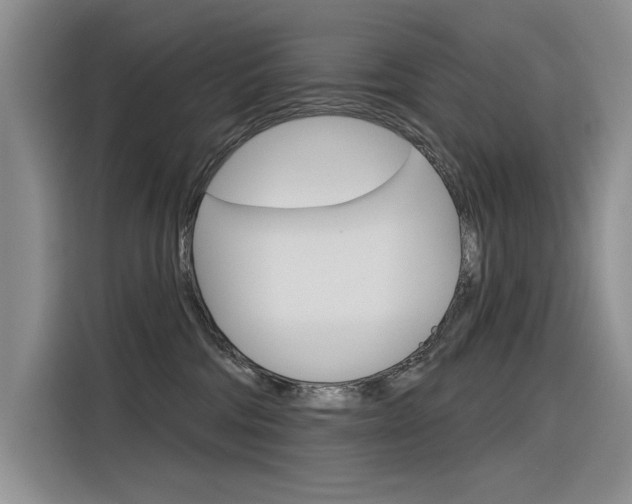 X0000116380330200912020951