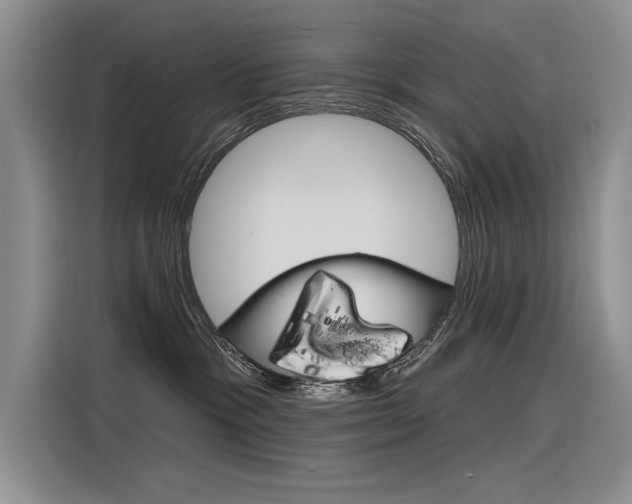 X0000116380333200912020951
