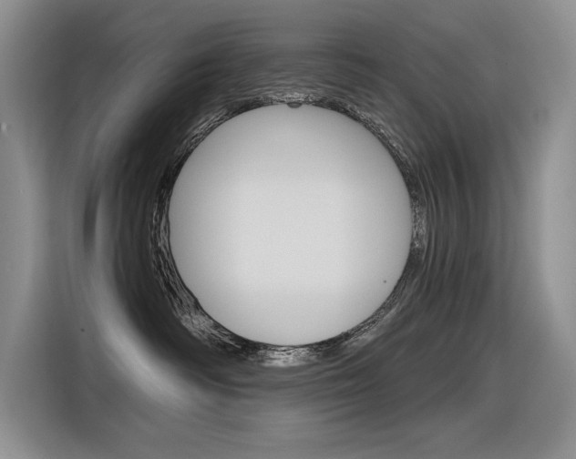 X0000116380334200912020951