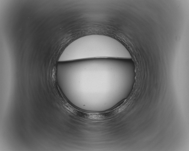 X0000116380336200912020951