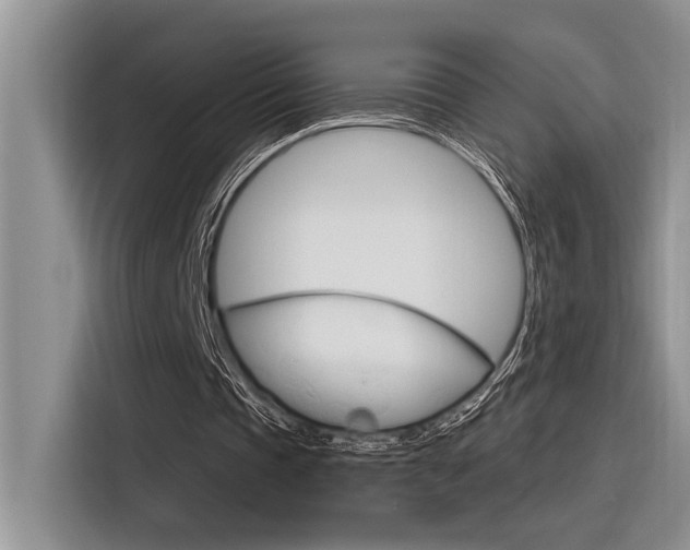 X0000116380337200912020950