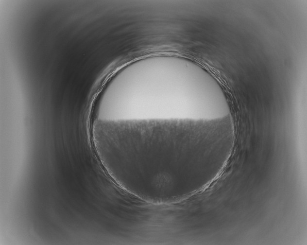 X0000116380339200912020950