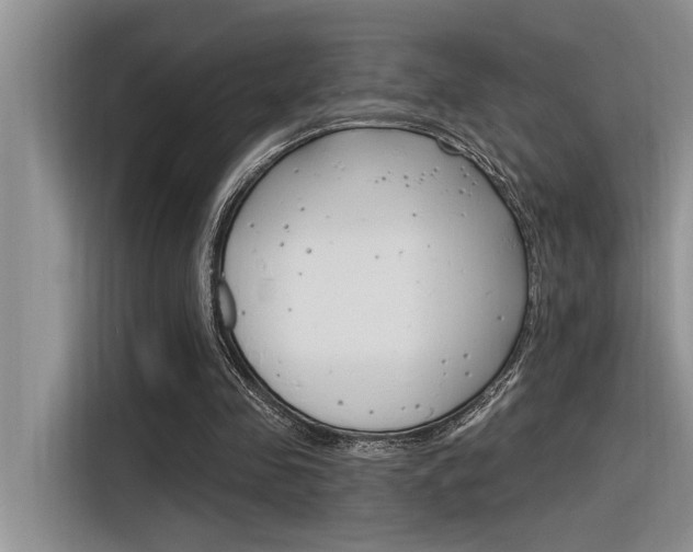 X0000116380341200912020950
