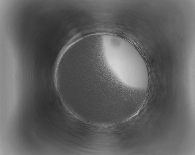 X0000116380343200912020950