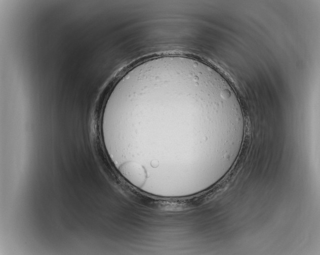 X0000116380347200912020950