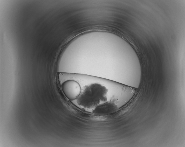 X0000116380349200912020950