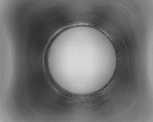 X0000116380350200912020950