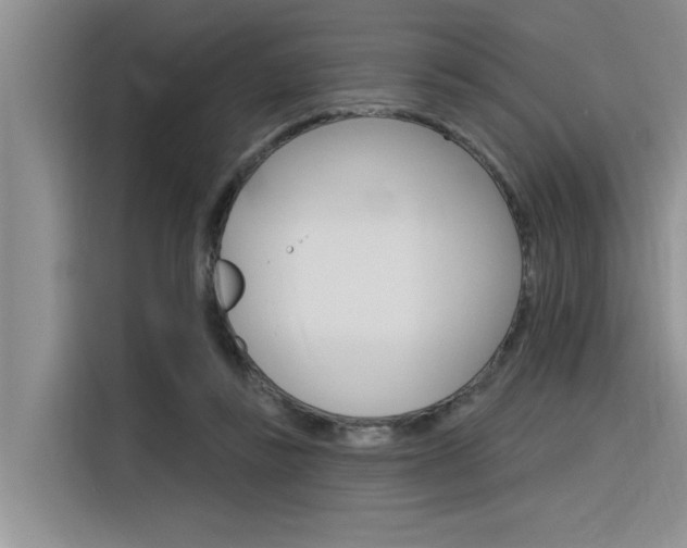 X0000116380355200912020950