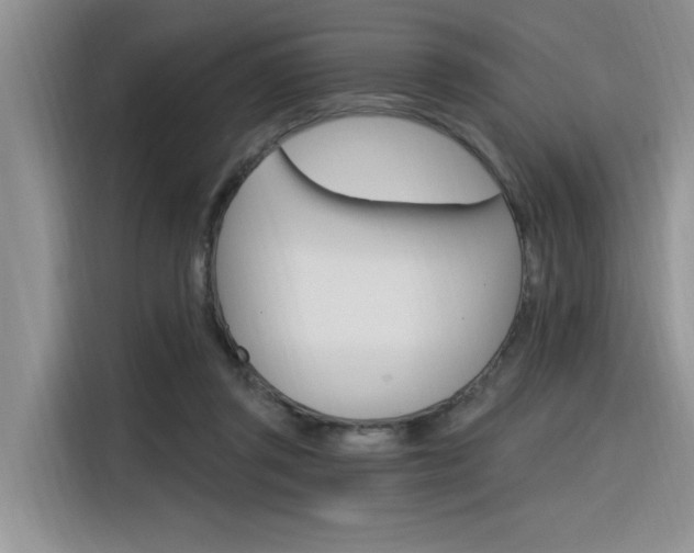 X0000116380357200912020950