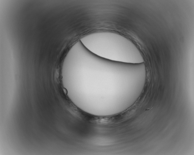 X0000116380365200912020950