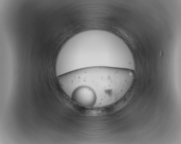 X0000116380366200912020950
