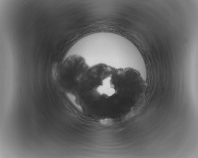 X0000116380371200912020950