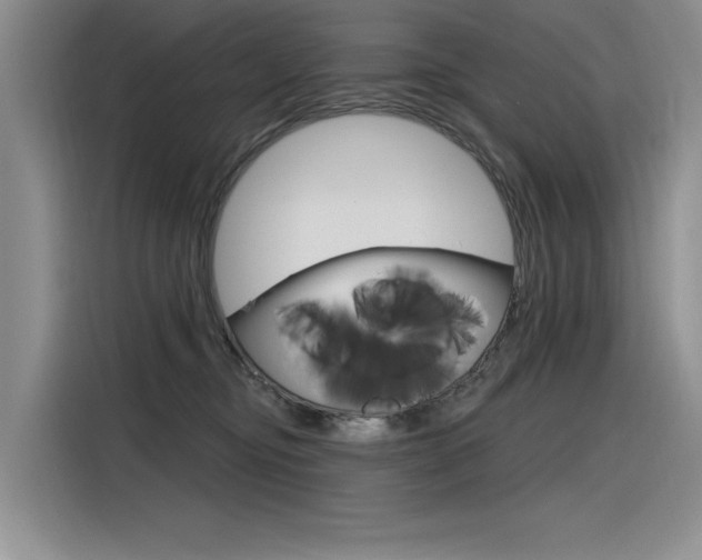 X0000116380374200912020950