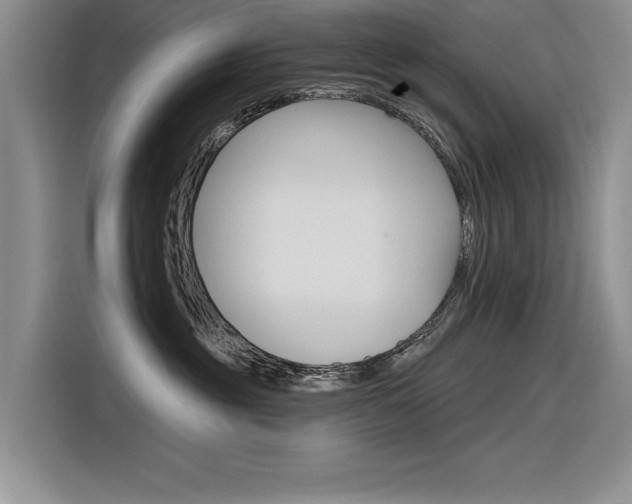 X0000116380381200912020951