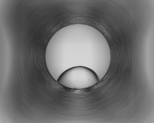 X0000116380382200912020951