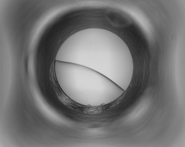 X0000116380383200912020951