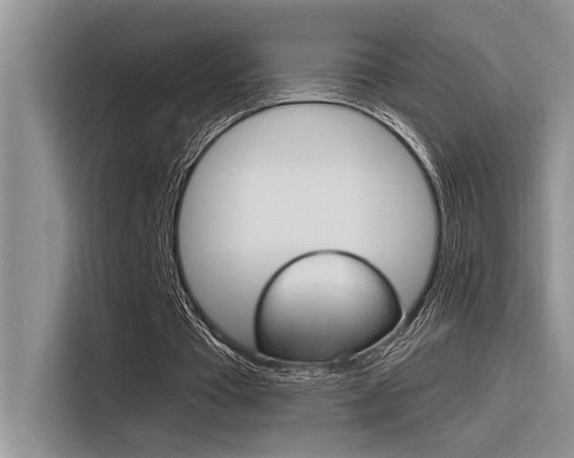 X0000116380385200912020950