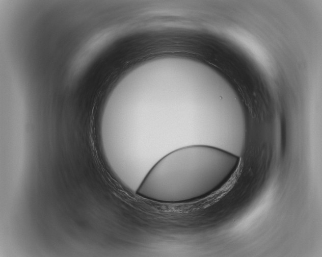 X0000116380387200912020950