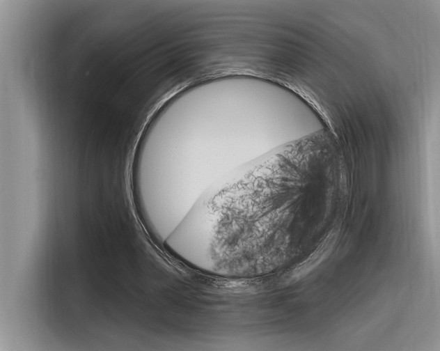 X0000116380390200912020950