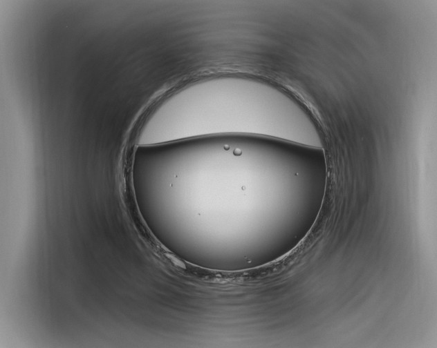 X0000116380395200912020950