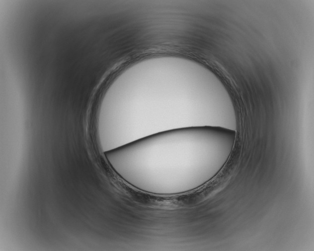 X0000116380396200912020950