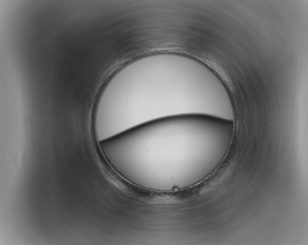 X0000116380397200912020950