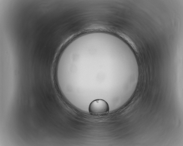 X0000116380399200912020950