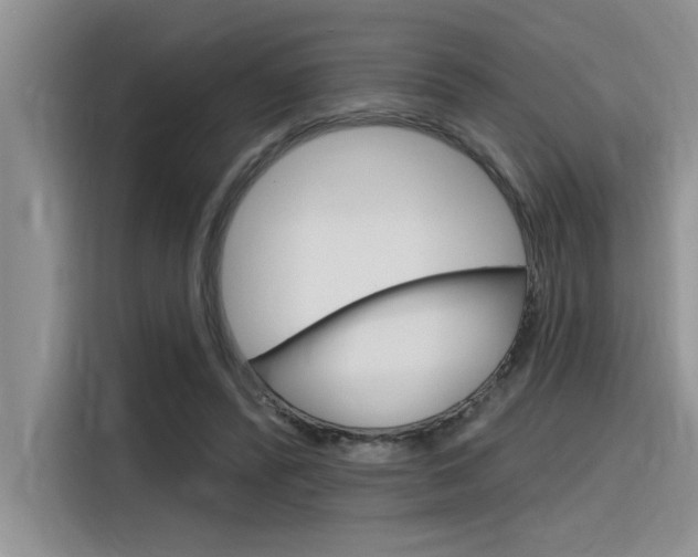 X0000116380400200912020950