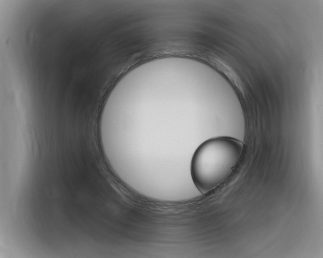 X0000116380401200912020950