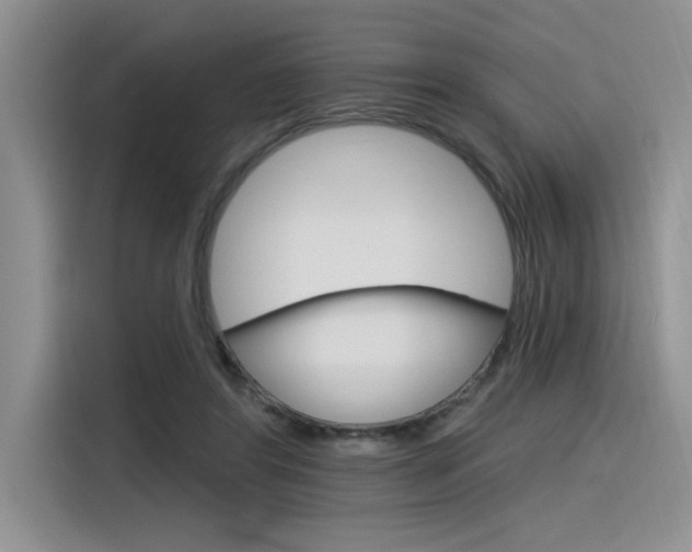 X0000116380404200912020950