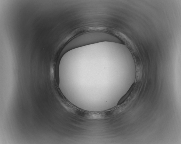 X0000116380405200912020950